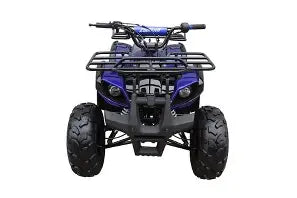 Coolster 3125XR8-U 125cc Youth Utility ATV — 4-Stroke with Cargo Racks