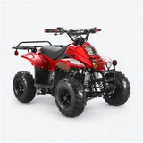 Coolster Hawk 110cc Youth ATV — 4-Stroke Automatic with Parental Controls